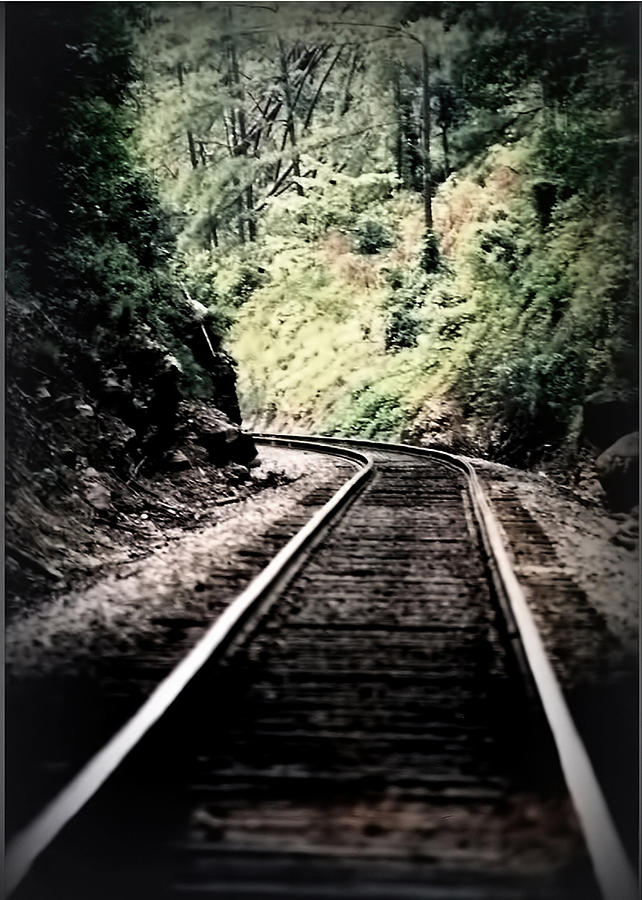 Hegia Burrow Railroad Tracks  Photograph by Lesa Fine