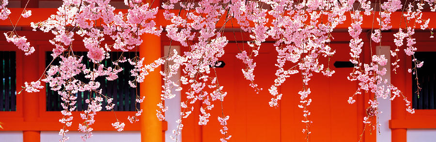 Heian-jingu Kyoto Japan Photograph by Panoramic Images