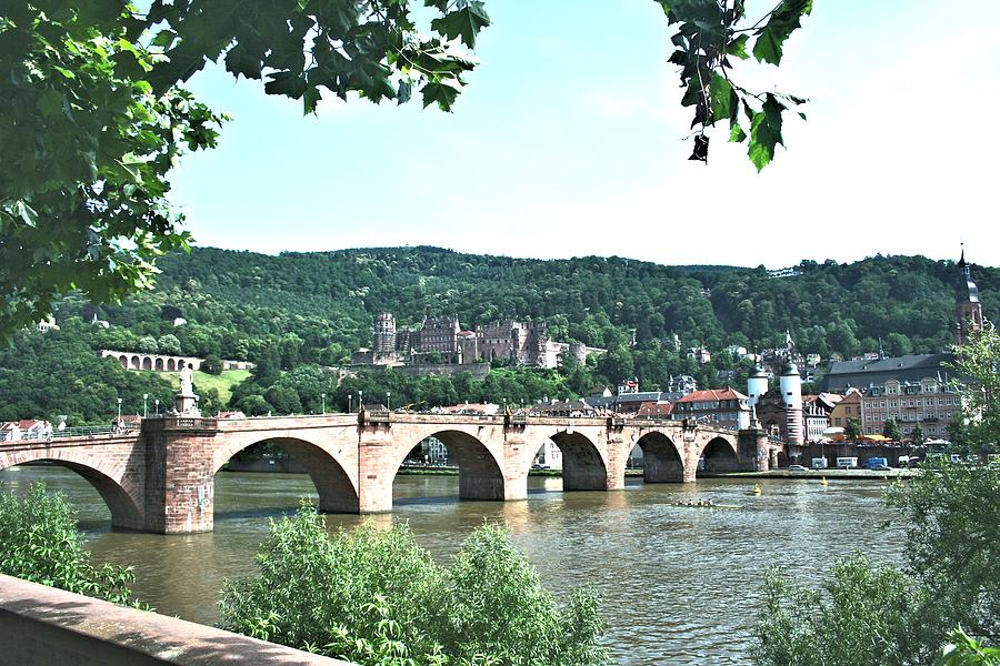 Heidelberg Schloss Overlooking The Neckar Photograph