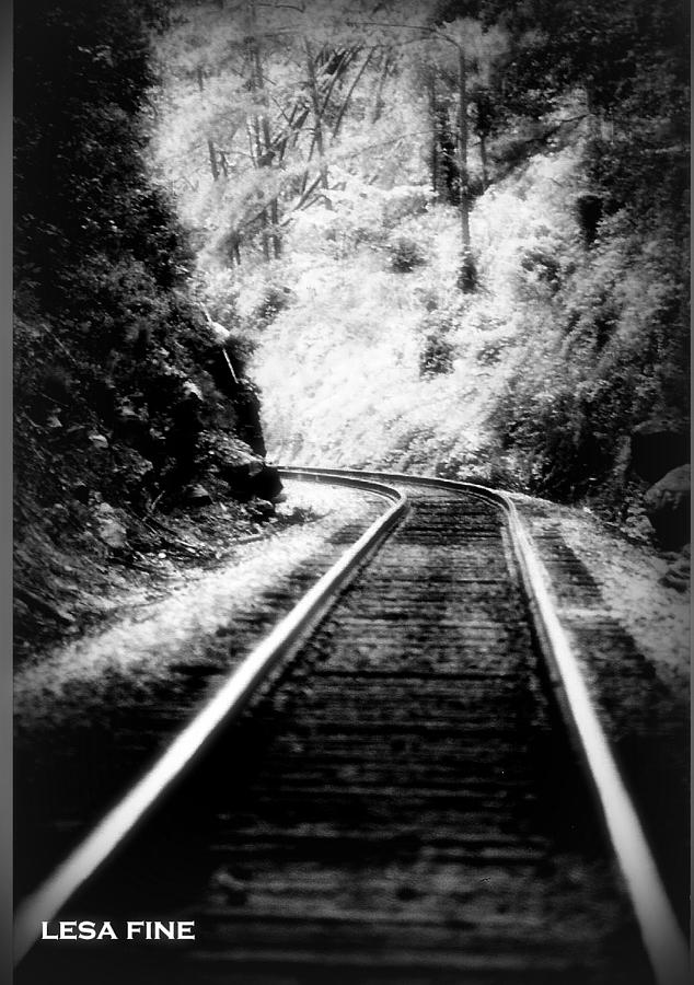 Black And White Photograph - Heiga Burrow Railroad Tracks by Lesa Fine