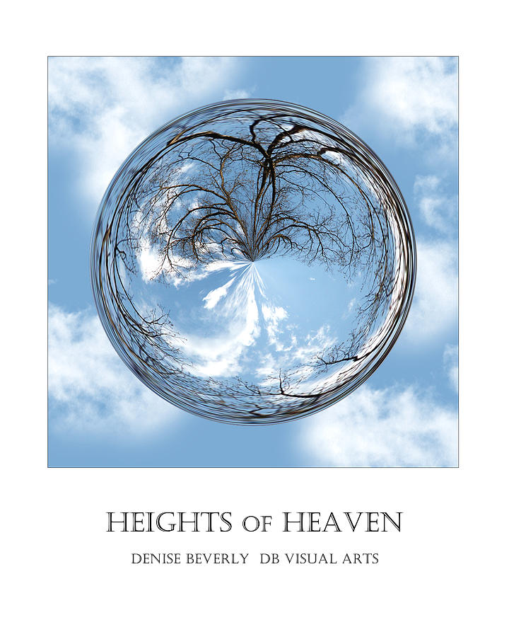 Heights of Heaven - Tree in a Bubble Photograph by Denise Beverly