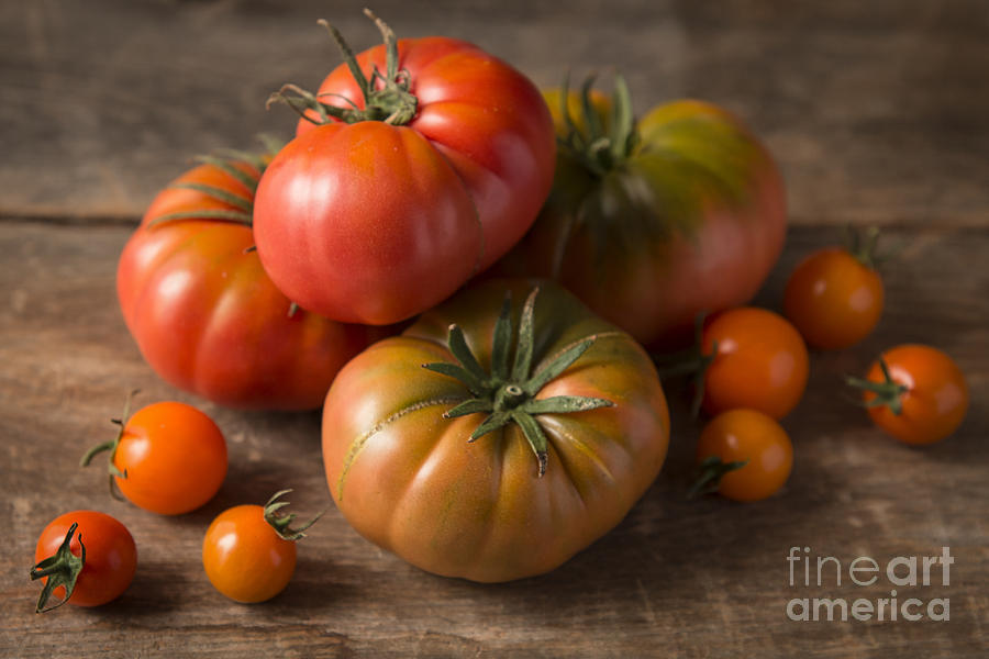Heirloom Tomatoes Photograph by Ana V Ramirez