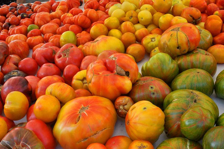 Heirloom Tomatoes at Union Square Farmers Market Photograph by Diane Lent