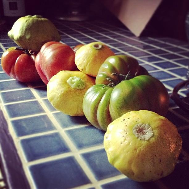 Tomato Photograph - #heirlooms #squash #tomatoes by Sarah Johanson