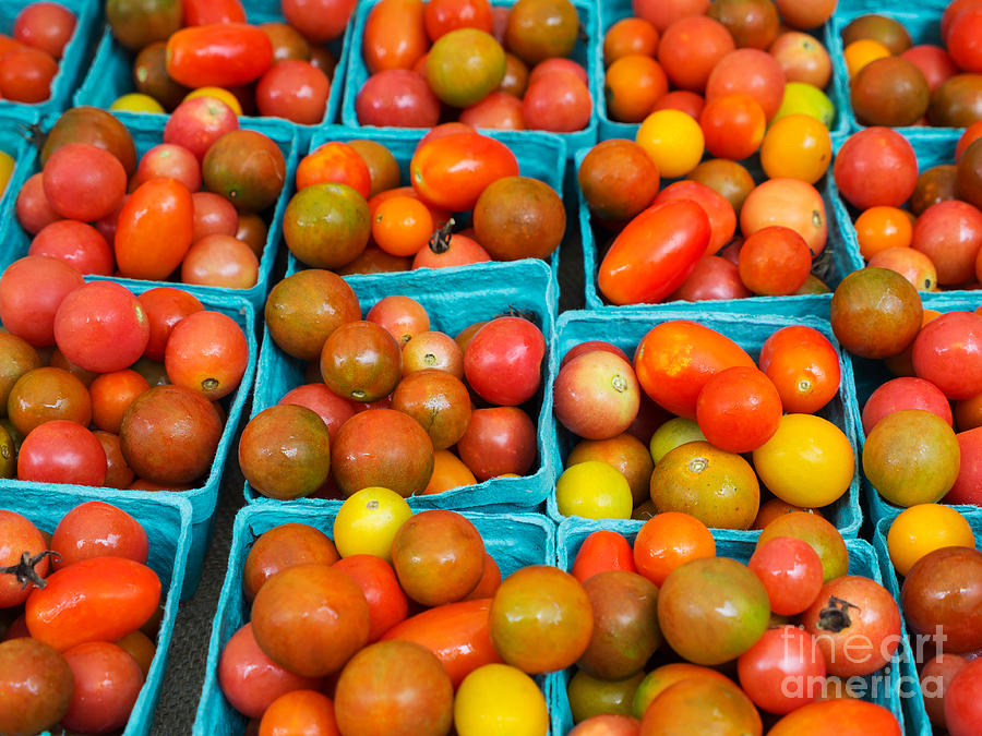 Heirloon Cherry Tomatoes Photograph by Louise Heusinkveld