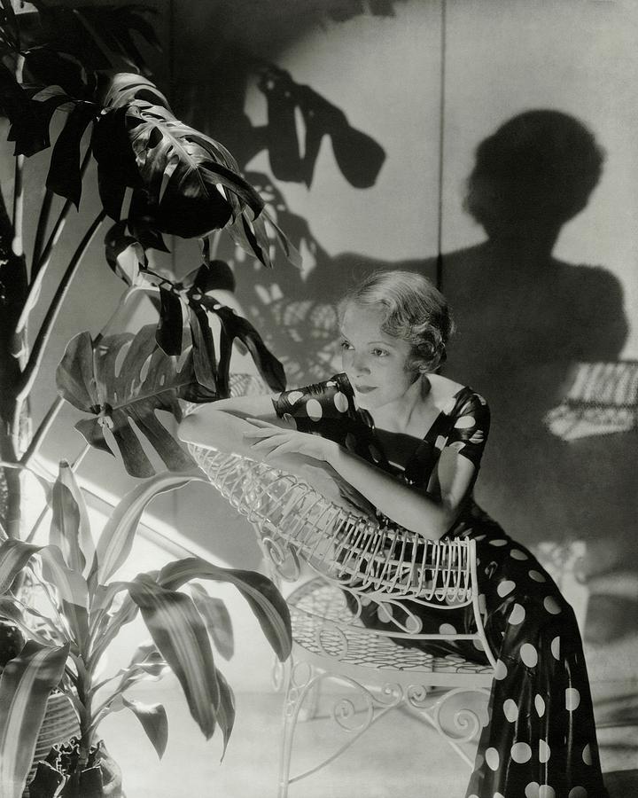 Helen Hayes Sitting By A Potted Plant Photograph by Cecil Beaton