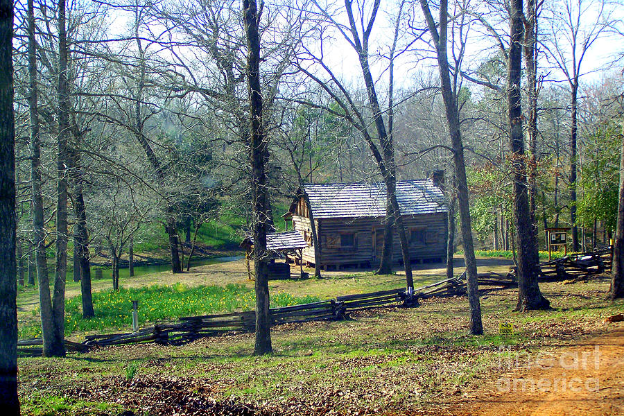 Helen Lees Pioneer Log Cabin Photograph by Kathy  White