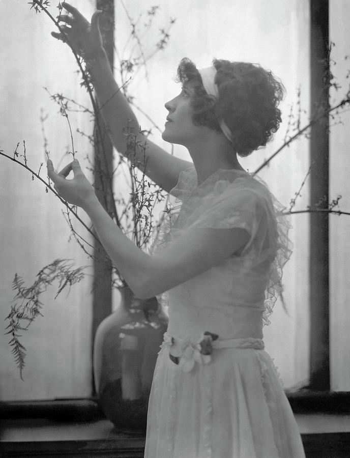 Helen Menken Arranging Branches Photograph by Edward Steichen