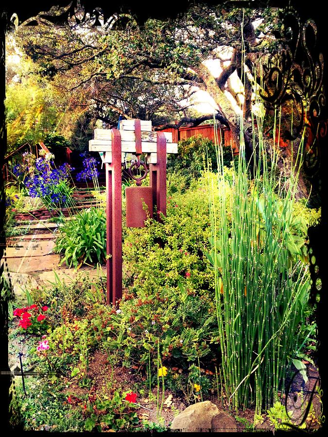 Flower Photograph - Helgas California Zen Garden by Eugene Evon