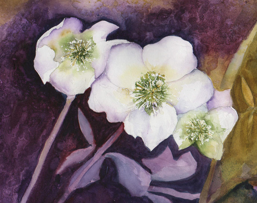 Helibores Painting by Elaine F Thompson - Fine Art America