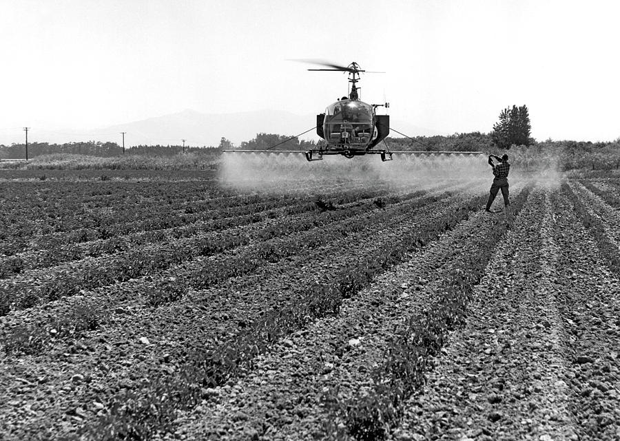 Helicopter Cropdusting Photograph by Underwood Archives