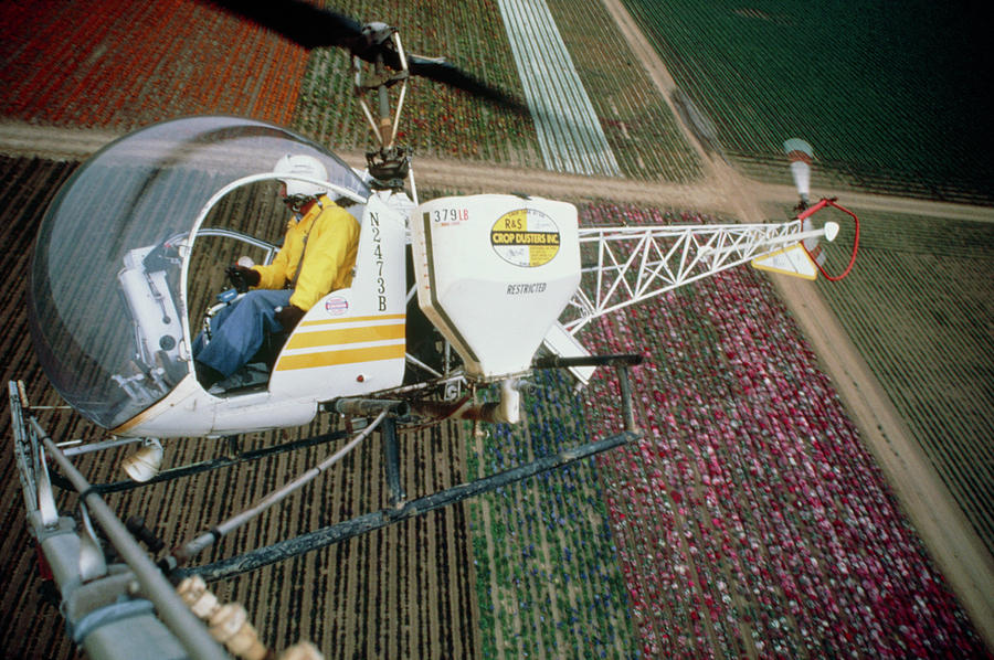 Helicopter Spraying Flowers Photograph by Peter Menzel/science Photo Library