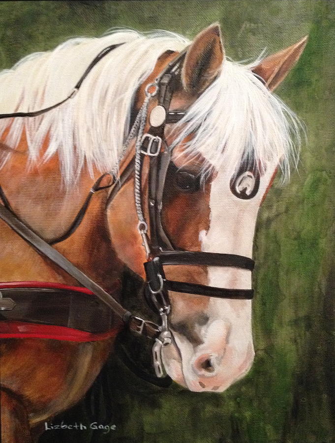 Horse Painting - Hello Dolly by Lizbeth Gage