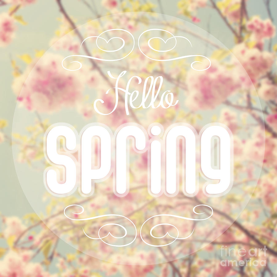 Hello spring Photograph by Sophie McAulay