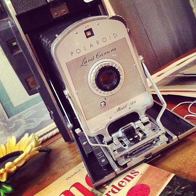 Vintage Photograph - Hello There, Beautiful. #vintage by Amy Fox