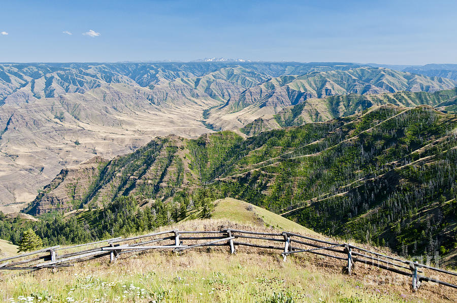 Hells Canyon National Recreation Area Photograph by William H. Mullins