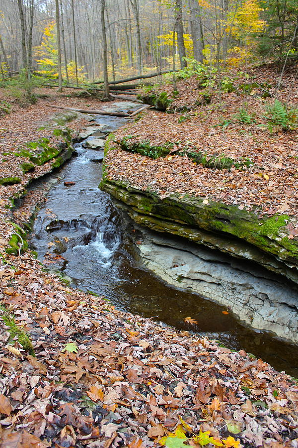 Fall Photograph - Hells Hollow Trail 2 by Marie Spence