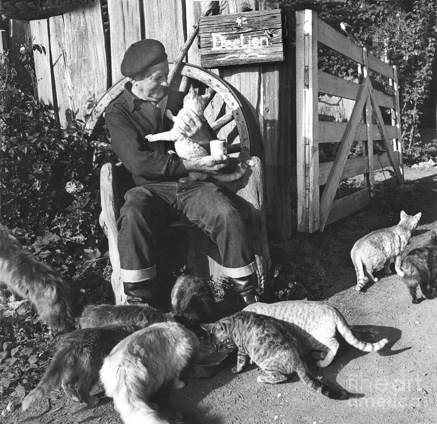 Cat Photograph - Helmuth Grandpa Deetjen at Deetjens Big Sur Inn at Castro Canyon circa 1960  by Monterey County Historical Society
