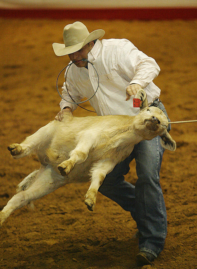 Helpless Photograph By Don Olea Fine Art America