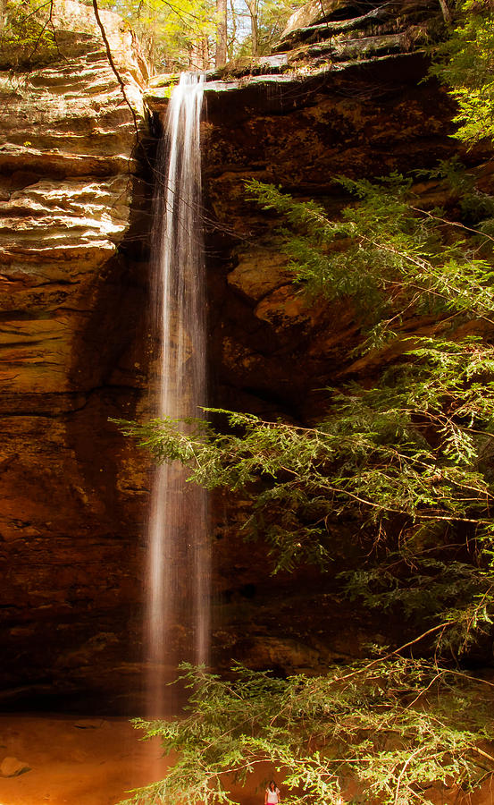 Hemlocks and Waterfall Photograph by Haren Images- Kriss Haren