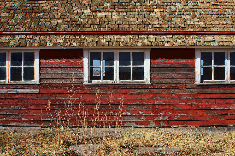 Hen House Windows Photograph by Nikolyn McDonald