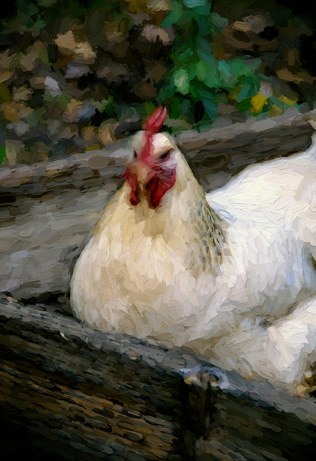 Chicken Mixed Media - Hen in a Box by John K Woodruff