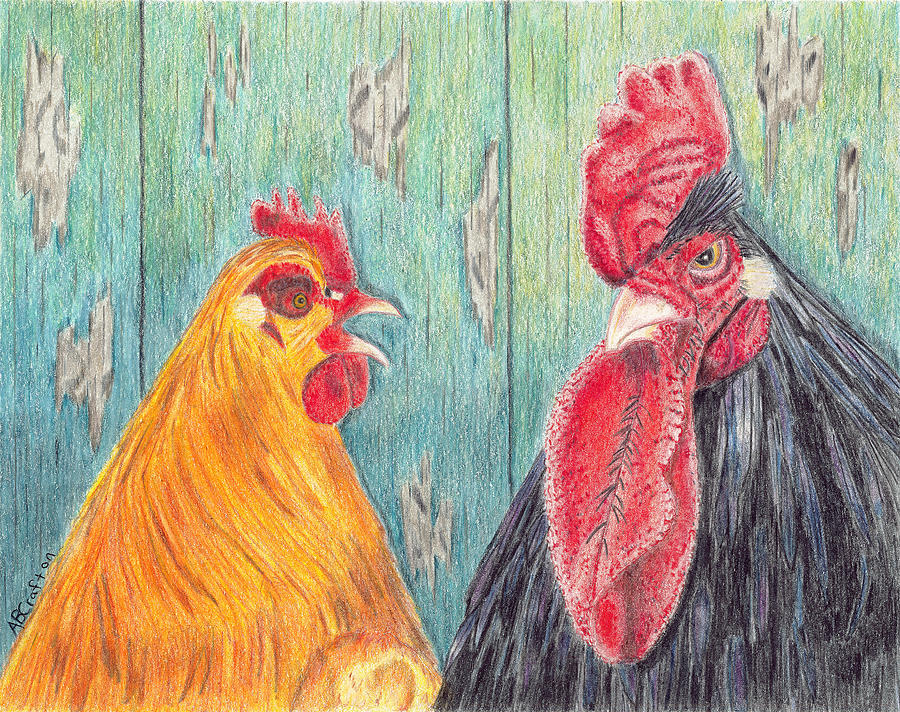Henpecked Drawing by Arlene Crafton