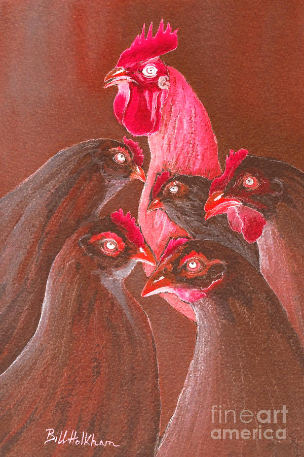 Henpecked In Red Digital Art by Bill Holkham