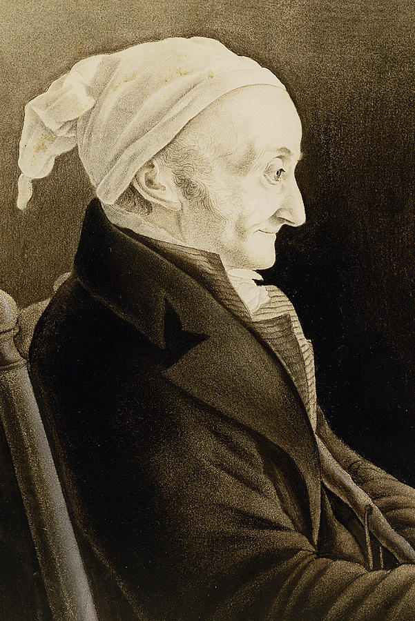 Portrait Drawing - Henri De Gallon by John James Audubon