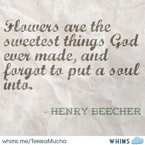 Spring Photograph - Henry Beecher #quote That Is A by Teresa Mucha