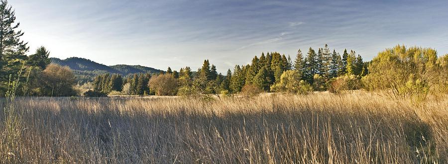 Henry Cowell Meadow Sunset Panorama Photograph by Larry Darnell