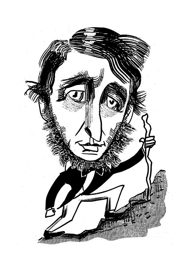 Henry David Thoreau Drawing by Tom Bachtell