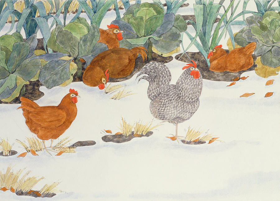 Chicken Photograph - Hens In The Vegetable Patch by Linda Benton