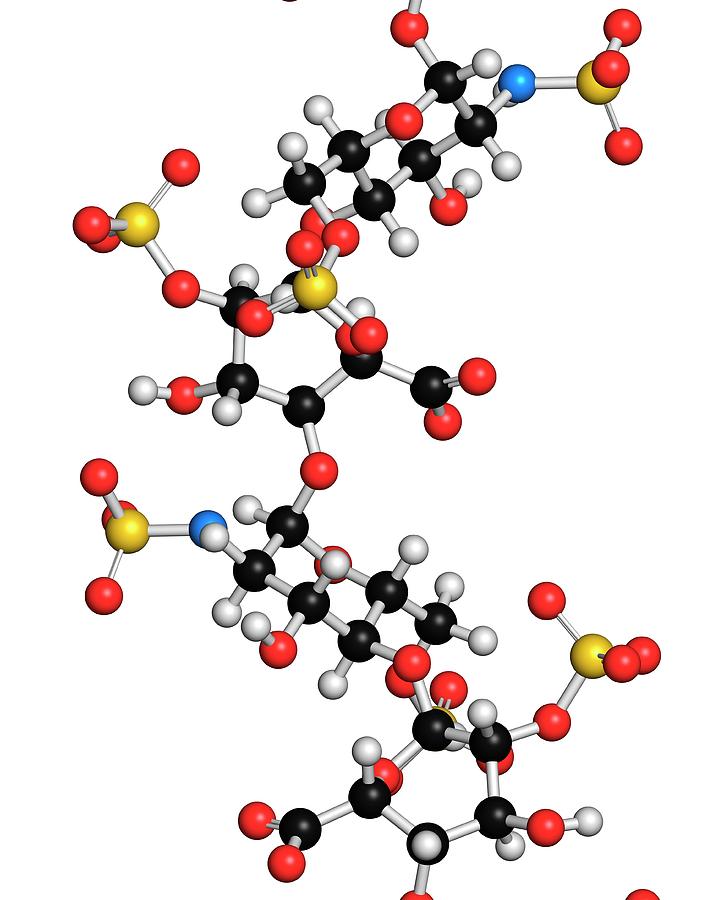 Heparin Anticoagulant Drug Molecule Photograph by Molekuul