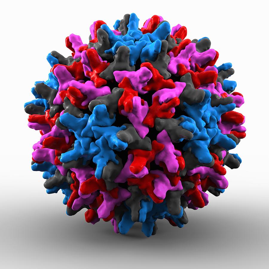 Hepatitis B Virus Particle Photograph By Science Photo Library - Fine ...