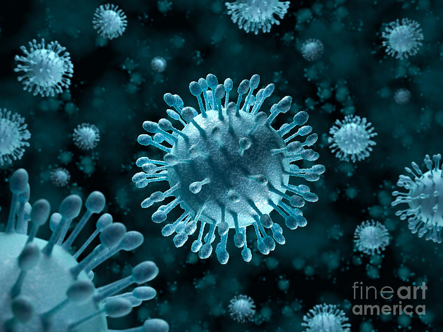 Cirrhosis Photograph - Hepatitis C Virus Attack by David Marchal