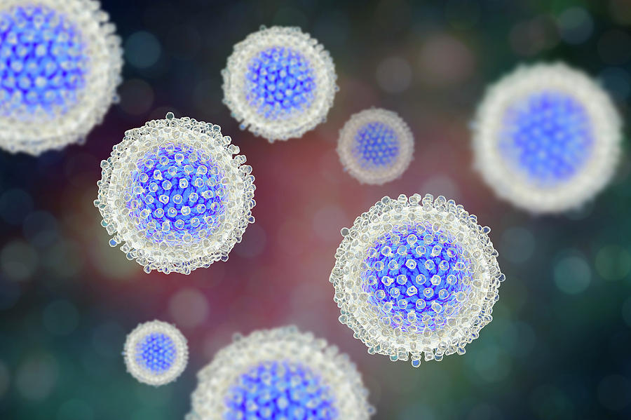 Hepatitis C Virus Particles Photograph by Science Photo Library - Fine ...