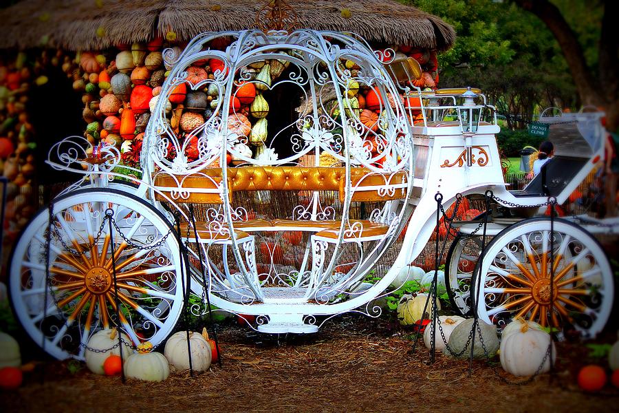 Her Chariot Awaits Photograph By Sherwanda Irvin Fine Art America