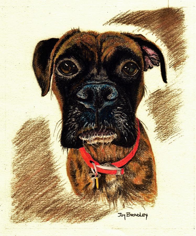 Dog Drawing - Her Name Is Bonnie by Joy Bradley