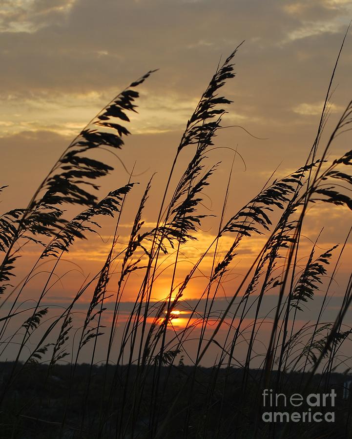 Her Sunset Photograph by Jocelyn Stephenson