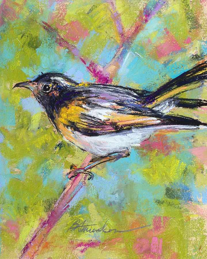 Bird Pastel - Herald of Spring by Beverly Amundson Bird Pastel - Herald of Spring by Beverly Amundson