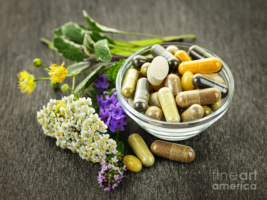 Flower Photograph - Herbal medicine and herbs by Elena Elisseeva