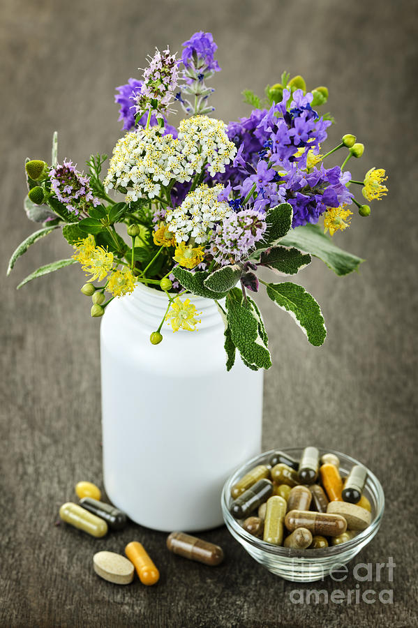 Herbal medicine and plants Photograph by Elena Elisseeva