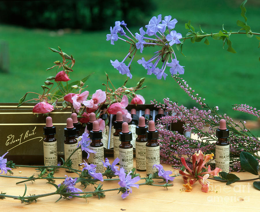 Herbal Remedies Photograph by Hans Reinhard