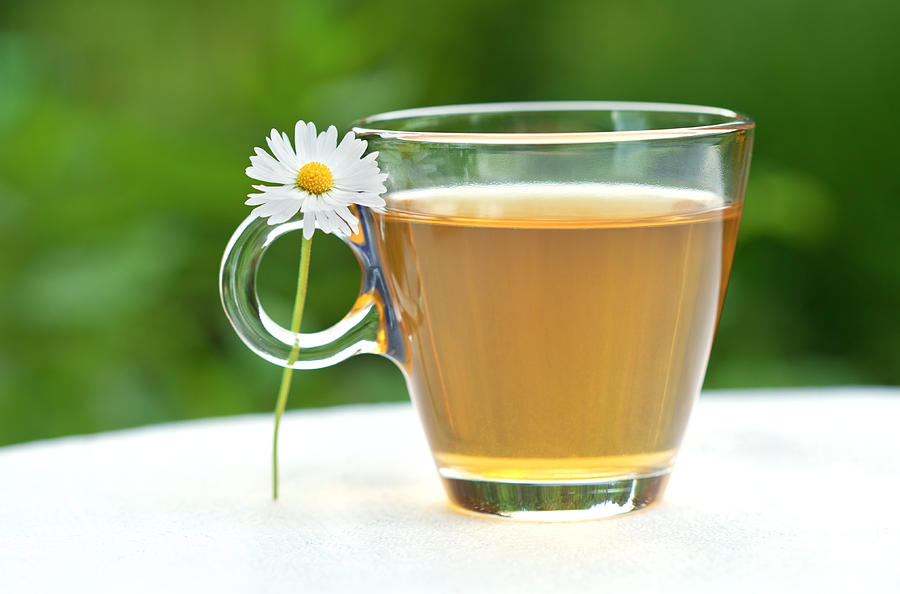 Herbal tea Photograph by Salima Senyavskaya