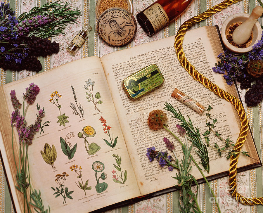 Herbalism Photograph by Brooks / Brown