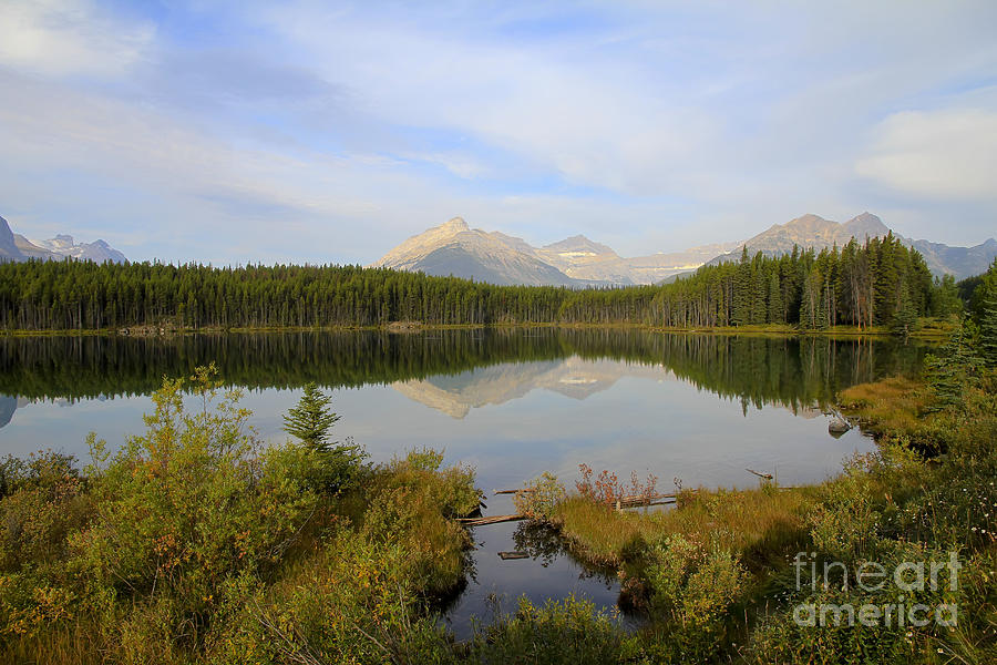 Herbert Lake Banff National Park Photograph by Teresa Zieba
