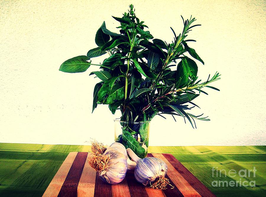 Herbs And Garlic Photograph by Nina Ficur Feenan