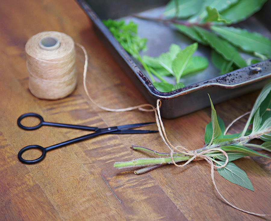 Herbs And String Photograph by Sharon Lapkin