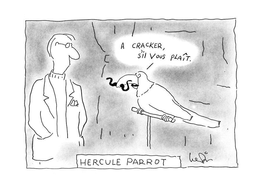 Hercule Parrot Drawing by Arnie Levin
